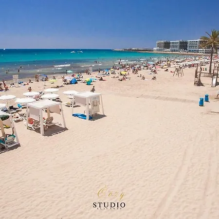 Cozy Alicante